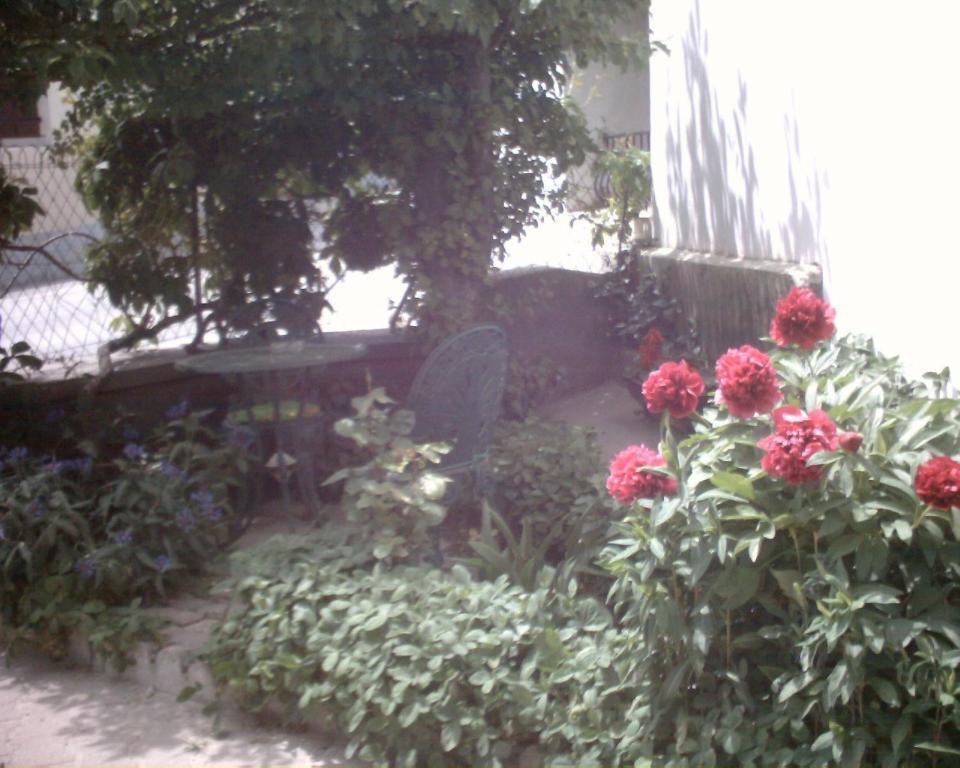 Vaque Les Angles Les Angles (Pyrenees-Orientales) Room photo